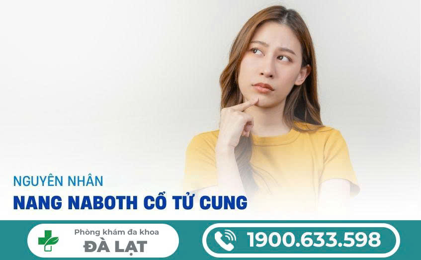 Hình ảnh minh họa